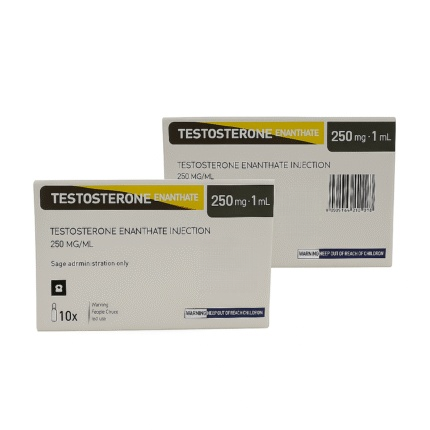 2 x Testosterone Enanthate - PanPharma
