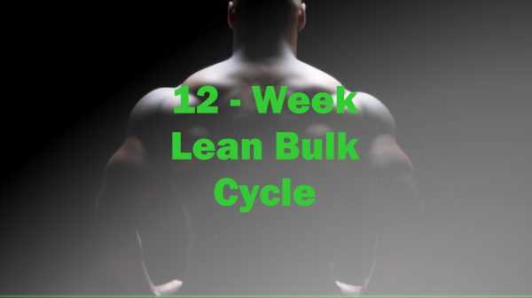 12 week Lean Bulk Cycle